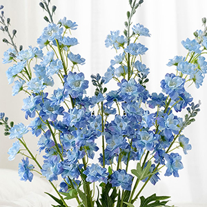 Delphinium-summer